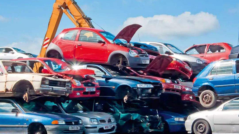 1739346968492256.jpeg cf7f0f438da7440c82a32a8bd271d7a5.jpeg